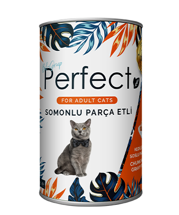 Perfect 400 Gr Somonlu Kedi Yaş Mama